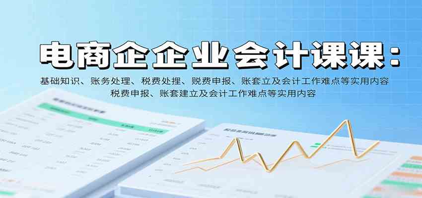 电商企业会计课：基础知识、账务处理、税费申报、账套建立及会计工作难点等实用内容|云雀资源分享