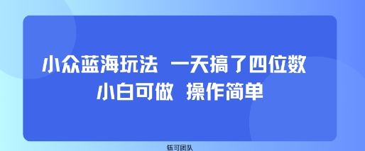 小众蓝海玩法 一天搞了四位数 小白可做 操作简单|云雀资源分享