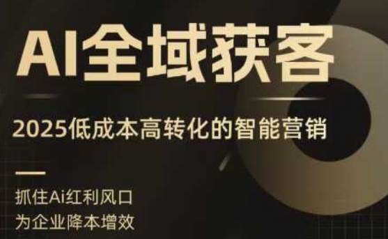 AI全域获客实训营，2025低成本高转化的智能营销，精准找客，高效营销|云雀资源分享