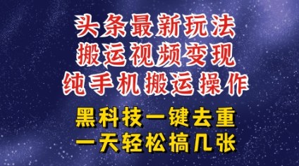 今日头条纯搬运玩法，轻松过原创不违规，轻松日入三位数，稳的很|云雀资源分享