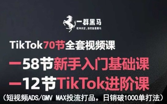 TikTok全套视频课，新手入门+进阶课，短视频ADS-GMV MAX投流打品，日销破1000单打法|云雀资源分享