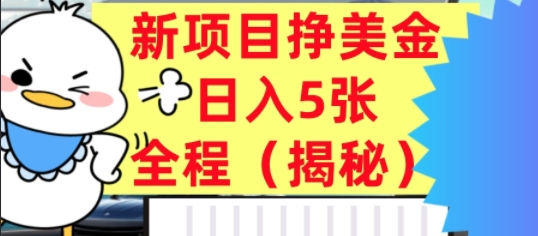 最新挣美金项目，日入5张，全程揭秘，小白也能轻松入手，长久被动收入|云雀资源分享