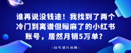 谁再说没钱途！我找到了两个冷门到离谱但賺麻了的小红书账号，居然月销5W单？|云雀资源分享