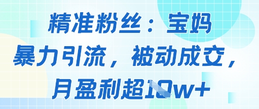 精准粉丝：宝妈暴力引流方法，被动成交，月盈利超1w+|云雀资源分享