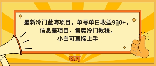 最新冷门蓝海项目，单号单日收益多张，信息差项目，售卖冷门教程，小白可直接上手|云雀资源分享