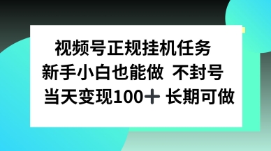 视频号正规挂播任务，有手就行不违规，轻松日入1张|云雀资源分享