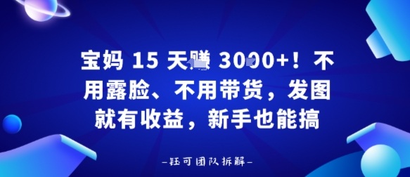 宝妈15天賺3k+！不用露脸、不用带货，发图就有收益，新手也能搞|云雀资源分享