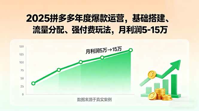 图片[1]-2025拼多多年度爆款运营，基础搭建、流量分配、强付费玩法，月利润5-15万