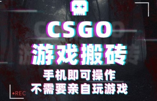 CSGO游戏挂G捡漏，单日扫货5张+，年底小高峰上车可吃肉，手机即可操作，兼职副业创业网创【揭秘】|云雀资源分享
