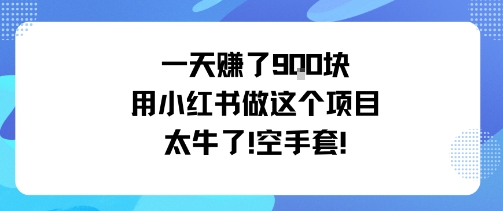 一天挣了9张用小红书做这个项目太牛了，空手套|云雀资源分享