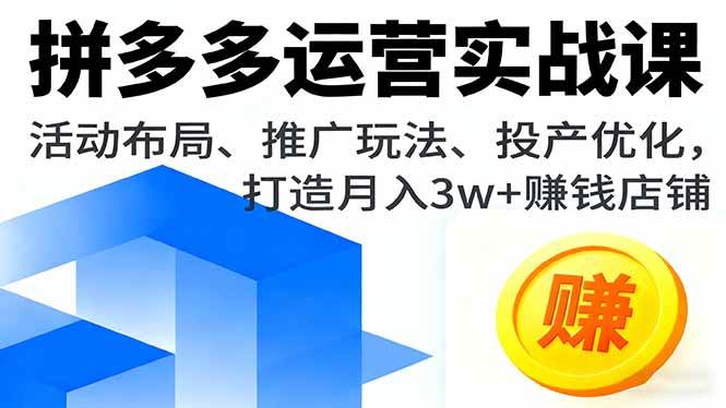 拼多多运营实战课，活动布局、推广玩法、投产优化，打造月入3w+赚钱店铺|云雀资源分享