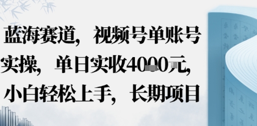 蓝海赛道，视频号单账号实操，单日实收1k，小白轻松上手，长期项目|云雀资源分享