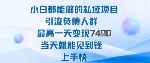 2025年小白都能做的私域项目引流负债人群最高一天变现1k+高变现难度低当天就能见到钱上手快|云雀资源分享