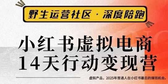 小红书虚拟电商14天变现训练营3.0，虚拟产品，2025年普通人在小红书最后的搞钱机会|云雀资源分享