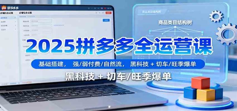 2025拼多多全运营课：基础搭建，强/弱付费/自然流，黑科技 + 切车/旺季爆单|云雀资源分享