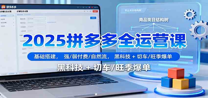 2025拼多多全运营课：基础搭建，强/弱付费/自然流，黑科技 + 切车/旺季爆单|云雀资源分享