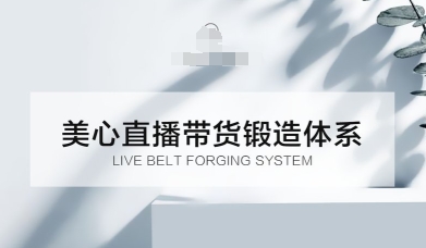 直播带货锻造体系课，5G时代美心一站式帮你开启直播带货之路【音频】|云雀资源分享