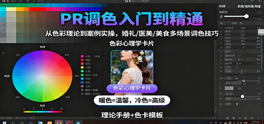 PR调色入门到精通：从色彩理论到案例实操，婚礼/医美/美食多场景调色技巧|云雀资源分享