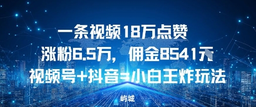 一条视频18W点赞涨粉6.5W，佣金8541视频号+抖音=小白王炸玩法|云雀资源分享