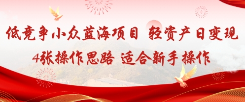低竞争小众蓝海项目，轻资产日变现4张的操作思路适合新手操作|云雀资源分享
