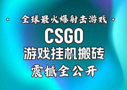 【年底大揭秘】基于全球最火爆的射击CSGO游戏挂G搬砖，日入5张+，震撼公开|云雀资源分享