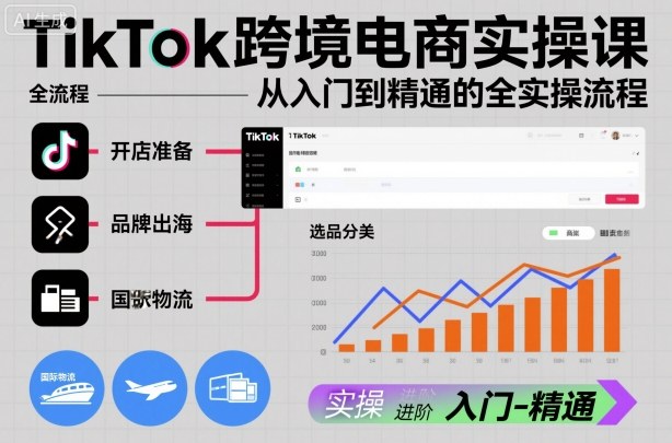 TikTok跨境电商实操课，从入门到精通的全实操流程|云雀资源分享