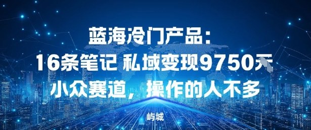 蓝海冷门产品：16条笔记私域变现9750米，小众赛道，操作的人不多|云雀资源分享