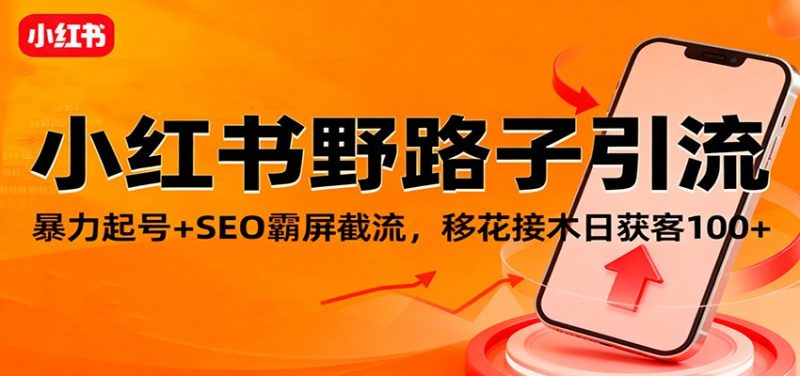 小红书野路子引流，暴力起号+SEO霸屏截流，移花接木日获客100+|云雀资源分享