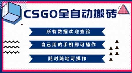 CSGO全自动搬砖，年底钱回家好项目，当天可拿到结果，新手小白轻松月入1W+【揭秘】|云雀资源分享