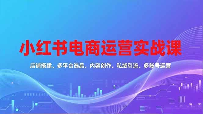 小红书电商运营实战课,店铺搭建、多平台选品、内容创作、私域引流、多账号运营等玩法|云雀资源分享
