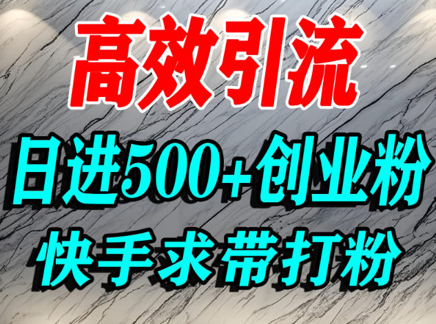 怎么打创业粉？快手求带视角精准引流创业粉，宝妈、学生群体日进500+精准流量|云雀资源分享