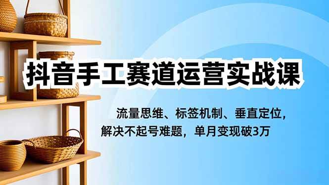 抖音手工赛道运营实战课,流量思维、标签机制、垂直定位,解决不起号难题,单月变现破3万|云雀资源分享