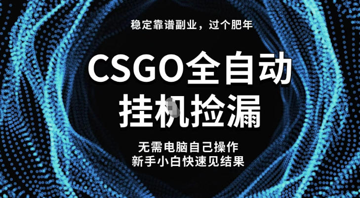 【稳定副业】全球最热门游戏CSGO全自动捡漏，最新玩法，新手小白日入5张+【揭秘】|云雀资源分享