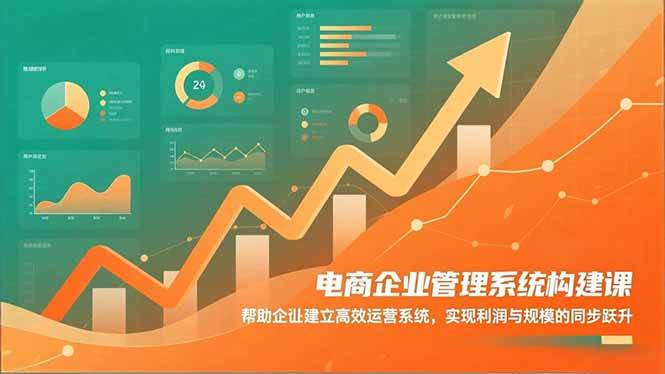 电商企业管理系统构建课:帮助企业建立高效运营系统,实现利润与规模的同步跃升|云雀资源分享