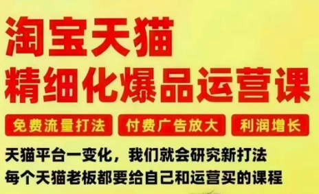 淘宝天猫精细化爆品运营课，免费流量打法-付费广告放大-利润增长-三大核心痛点，一次全部解决|云雀资源分享