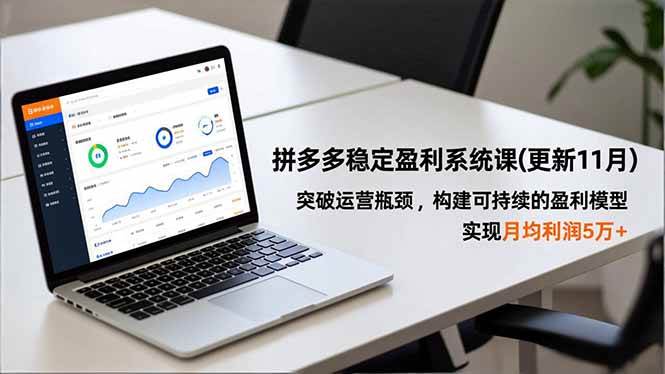 图片[1]-拼多多稳定盈利系统课(更新11月)，突破运营瓶颈，构建可持续的盈利模型，实现月均利润5万+