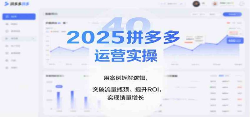 2025拼多多运营实操，用案例拆解逻辑，突破流量瓶颈、提升ROI，实现销量增长（更新）|云雀资源分享