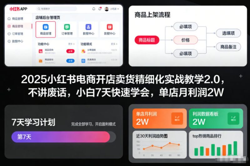 2025小红书电商开店卖货精细化实战教学2.0，不讲废话，小白7天快速学会，单店月利润2W|云雀资源分享