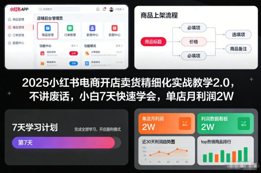 2025小红书电商开店卖货精细化实战教学2.0，不讲废话，小白7天快速学会，单店月利润2W|云雀资源分享