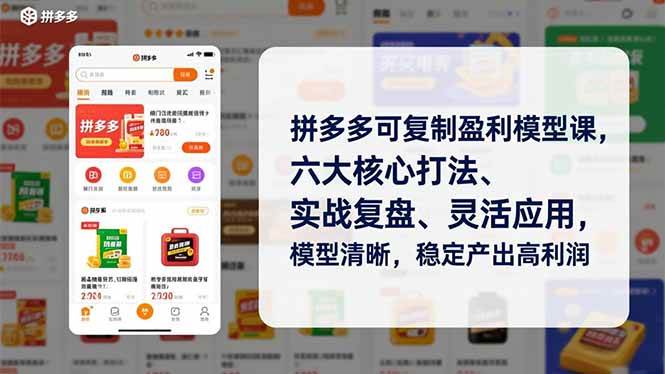 图片[1]-拼多多可复制盈利模型课，六大核心打法、实战复盘、灵活应用，模型清晰，稳定产出高利润