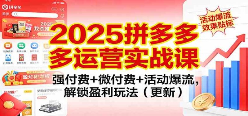 2025拼多多运营实战课：强付费+微付费+活动爆流，解锁盈利玩法（更新）|云雀资源分享