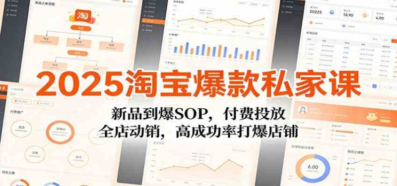 2025淘宝爆款私家课：新品到爆SOP，付费投放，全店动销，高成功率打爆店铺|云雀资源分享