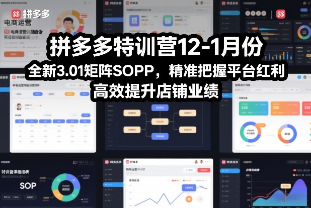 拼多多特训营12-1月份，全新3.01矩阵Sop，精准把握平台红利，高效提升店铺业绩|云雀资源分享