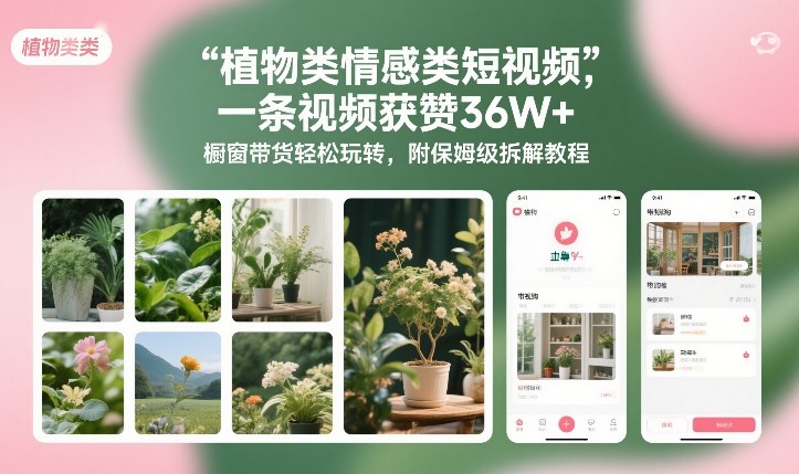 植物类情感类短视频，一条视频获赞36W+，橱窗带货轻松玩转，附保姆级拆解教程|云雀资源分享