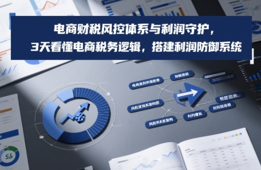 电商财税风控体系与利润守护，3天看懂电商税务逻辑，搭建利润防御系统|云雀资源分享