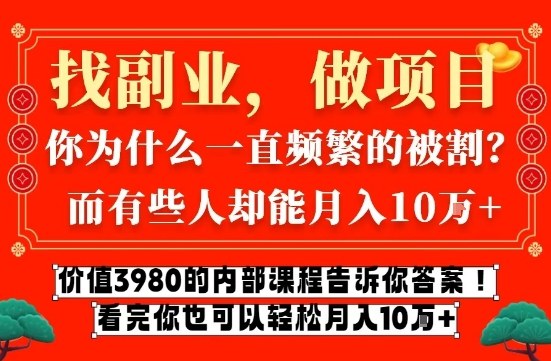 价值3980的网创内部课程，告诉你互联网创业月入10个W的秘密【揭秘】|云雀资源分享