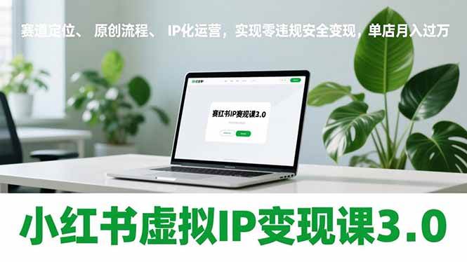 图片[1]-小红书虚拟IP变现课3.0，赛道定位、原创流程、IP化运营，实现零违规安全变现，单店月入过万