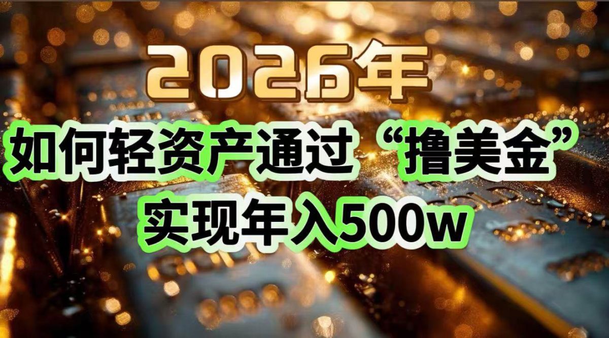 图片[1]-2026年如何轻资产通过“撸美金”实现年入500w