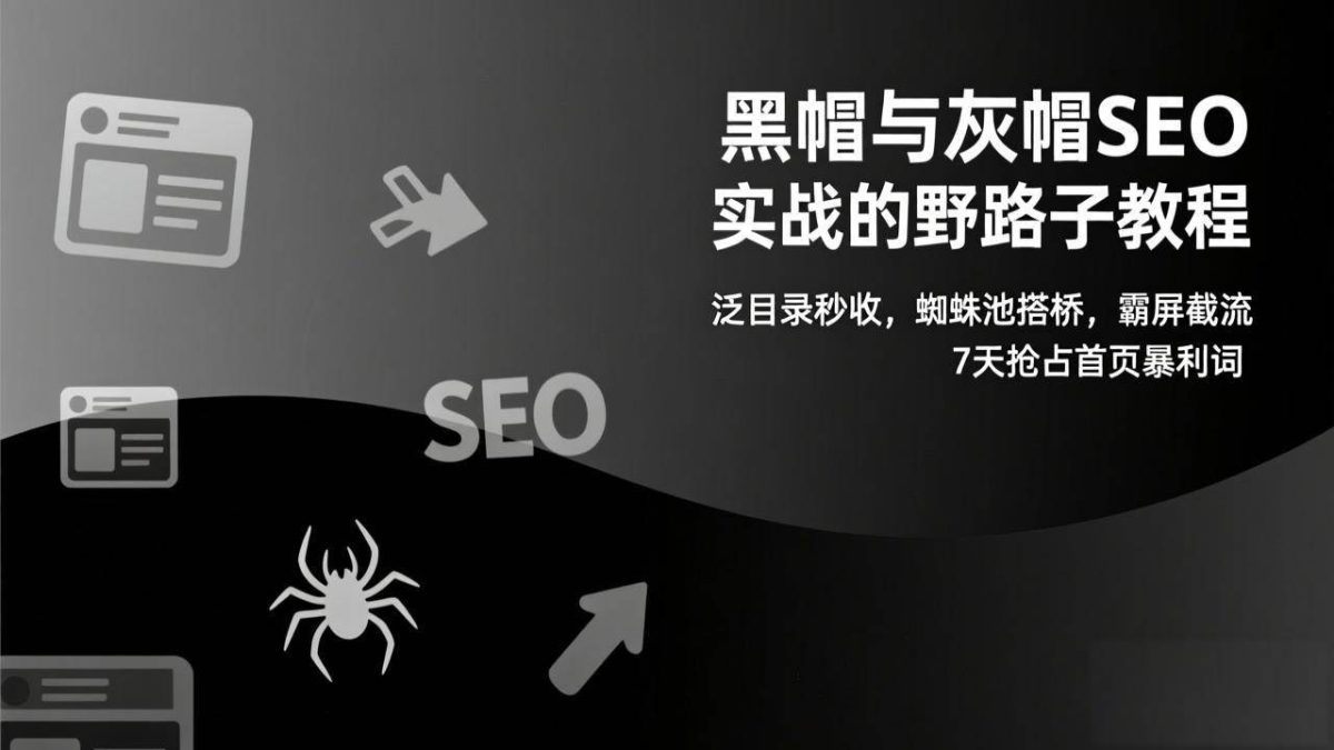 图片[1]-黑帽与灰帽SEO实战的野路子教程：泛目录秒收，蜘蛛池搭桥，霸屏截流，7天抢占首页暴利词