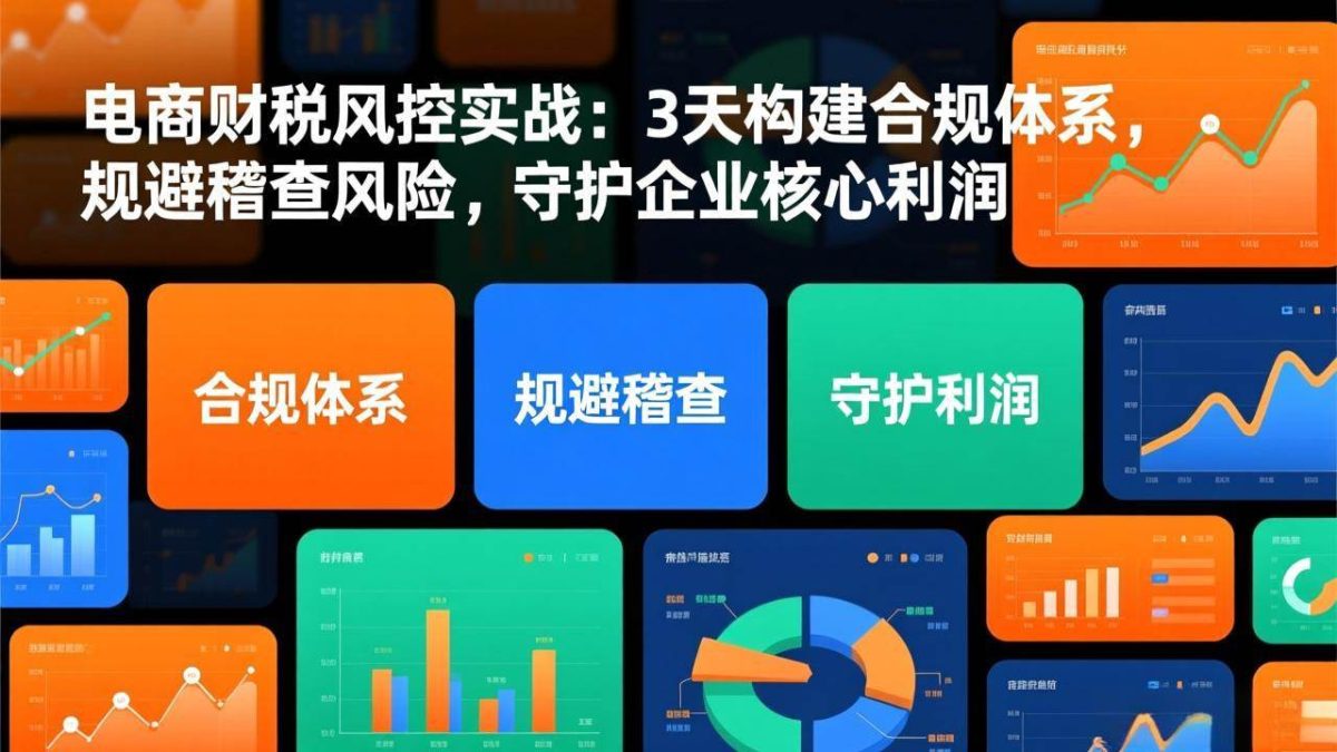 图片[1]-电商财税风控实战：3天构建合规体系，规避稽查风险，守护企业核心利润
